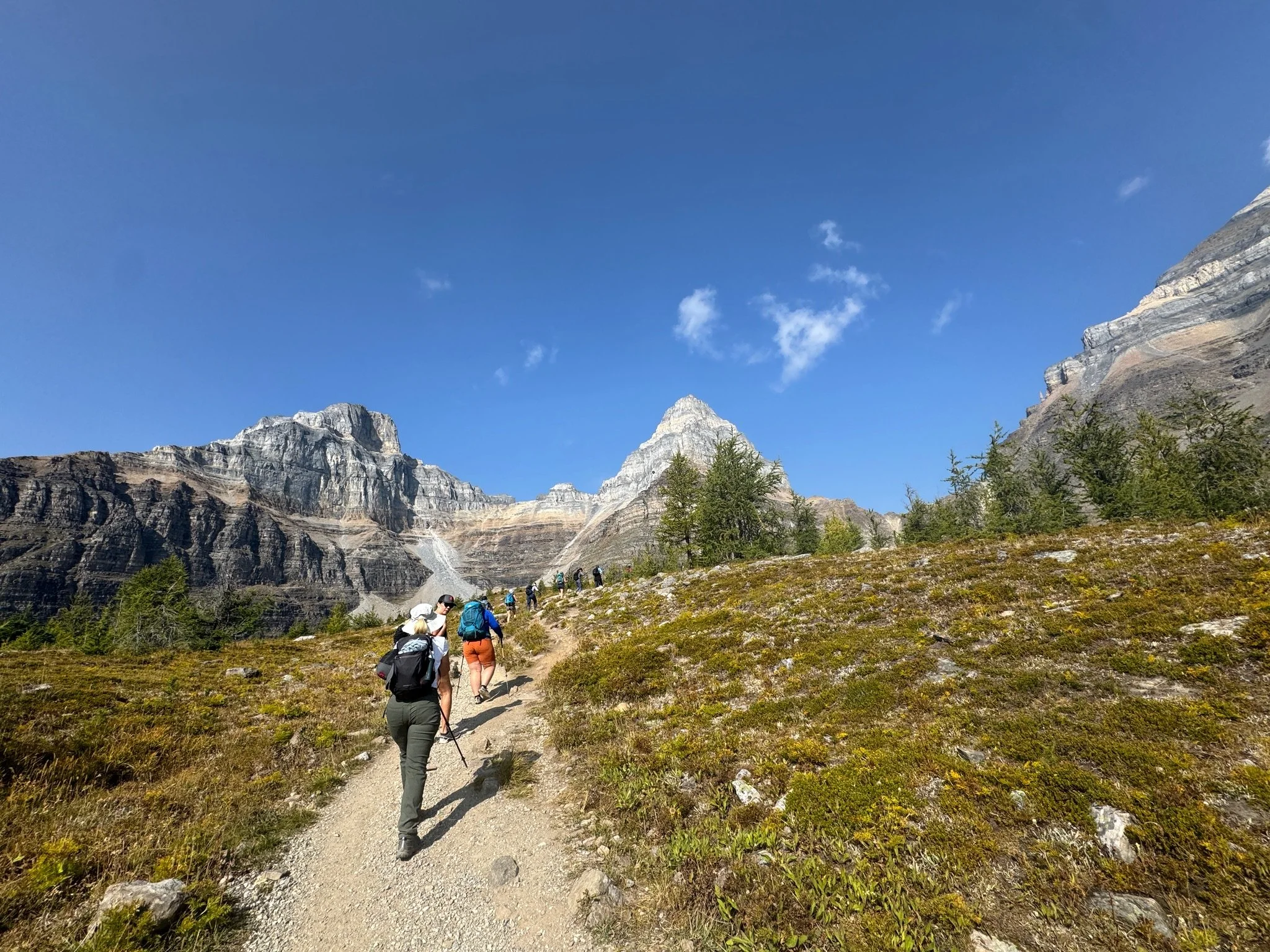 Group of hikers walking on a mountain trail towards rocky peaks under a blue sky.