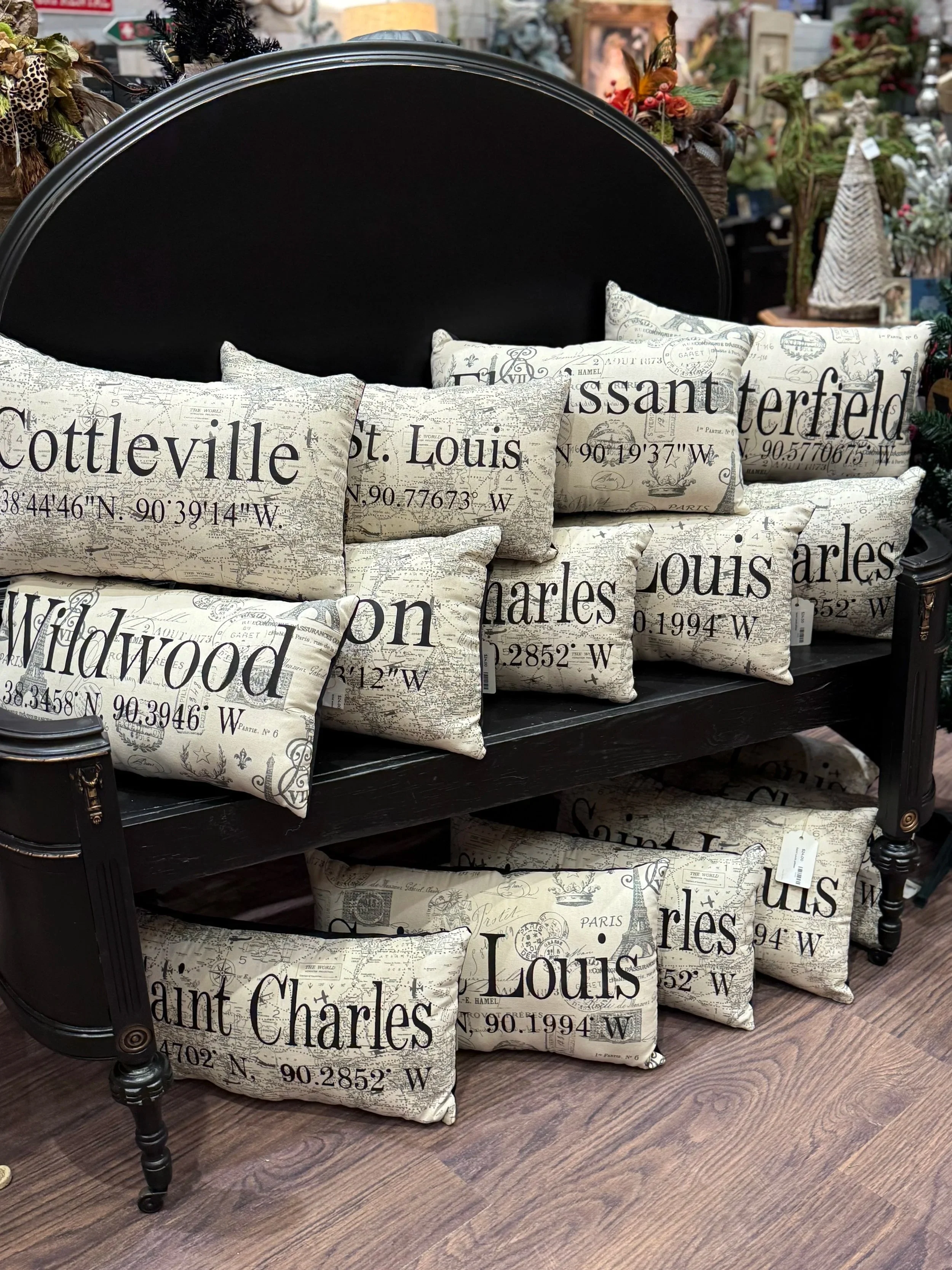 City Coordinate pillow