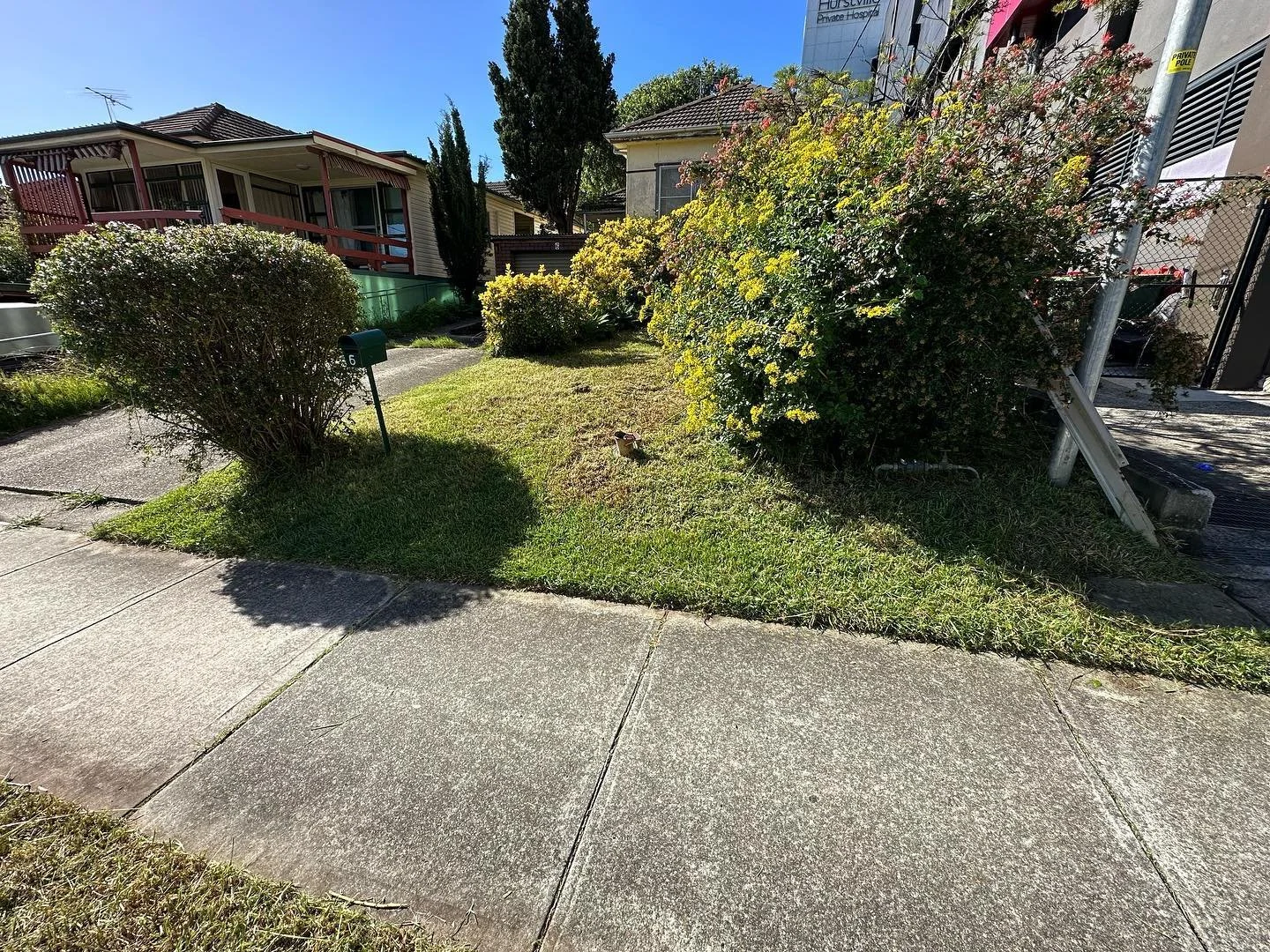 Overgrown Madness!!! #overgrownyard #gardentransformation #lawncare #landscaping #lawnmowing #lawnmaintenance