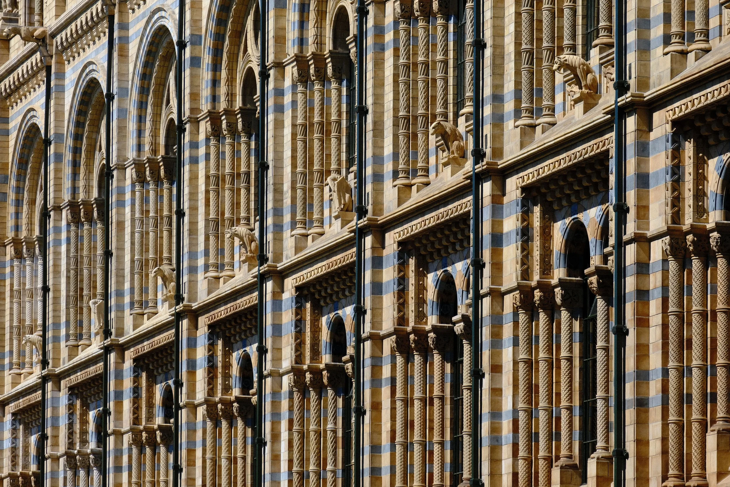Natural History Museum  - Londres