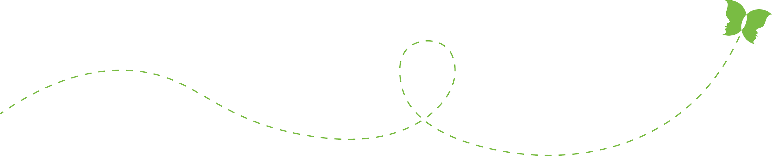 Butterfly with a trail of its flight behind it