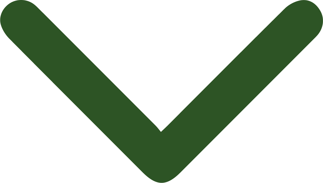 Green check mark icon.