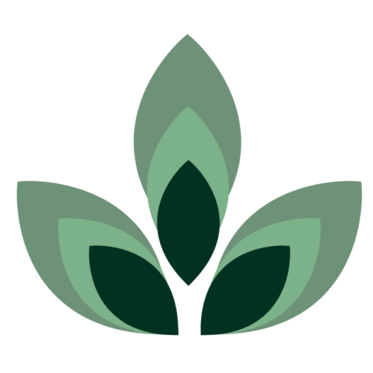 Center for Hope and Healing Logo