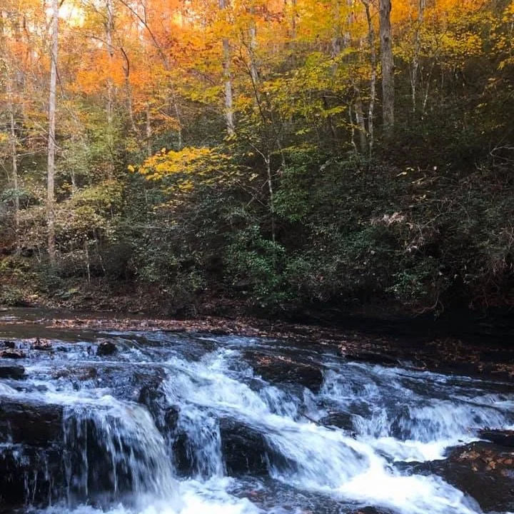 Memorial Ecosystems Logo