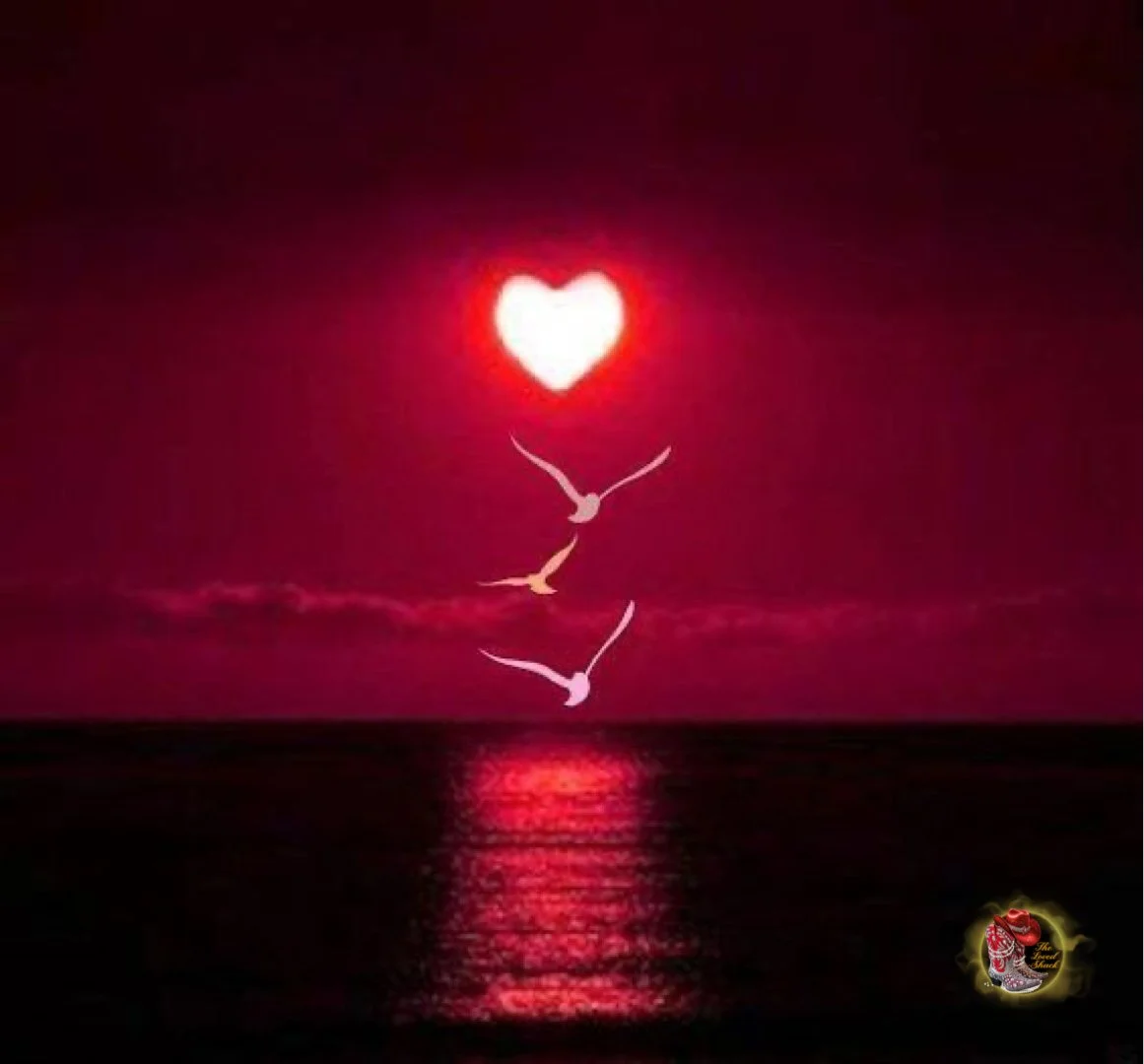 Shield Sisters: Why we study together: Life in uniform does not move in predictable rhythms. That's why every Bible study offered through the Loved Shack is designed to meet you where you truly live; in the demands, the duty, the danger & the calling