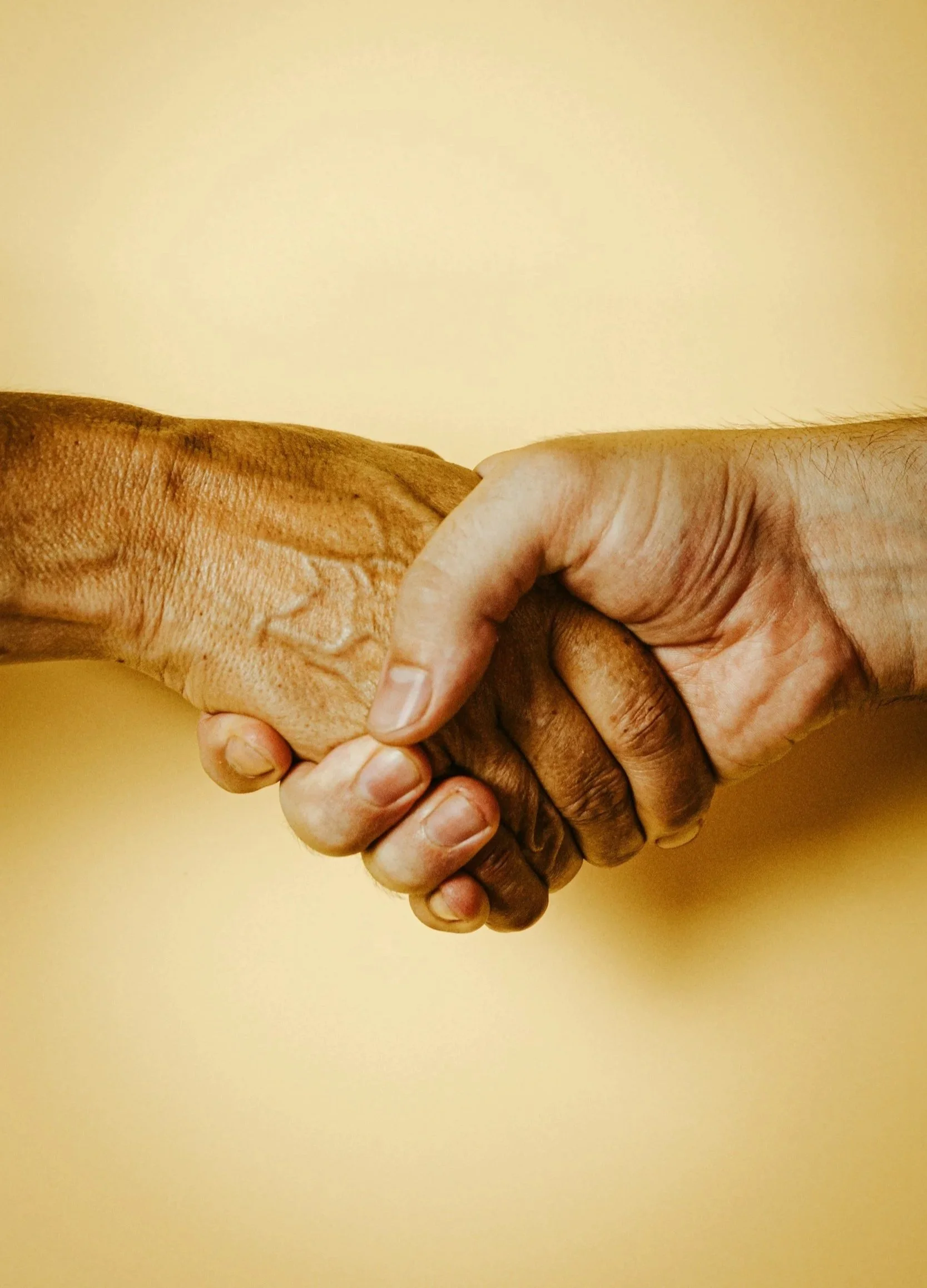 Downsizing & Home Preparation with Concierge-Level Support