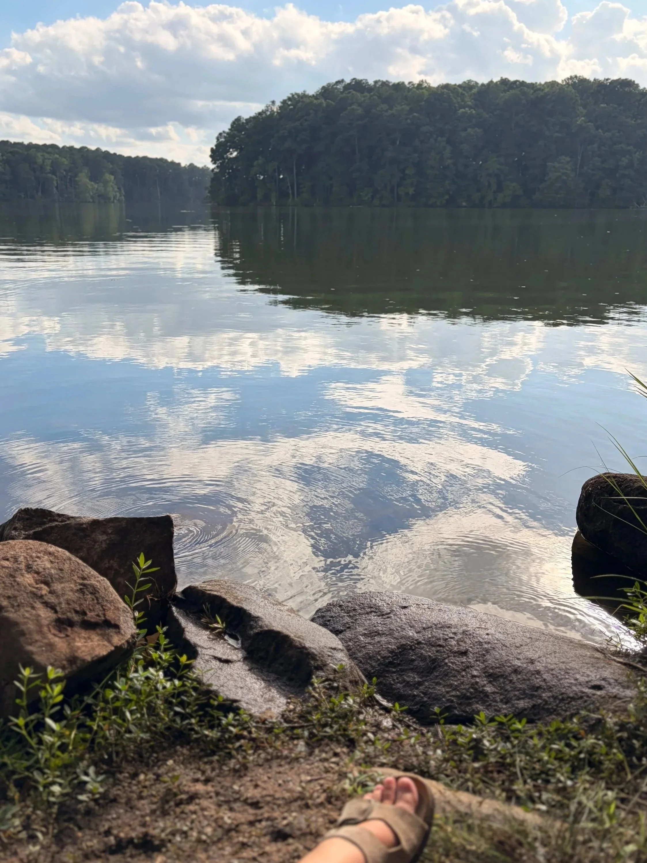 A Mindful Moment of Reflection with Felicia