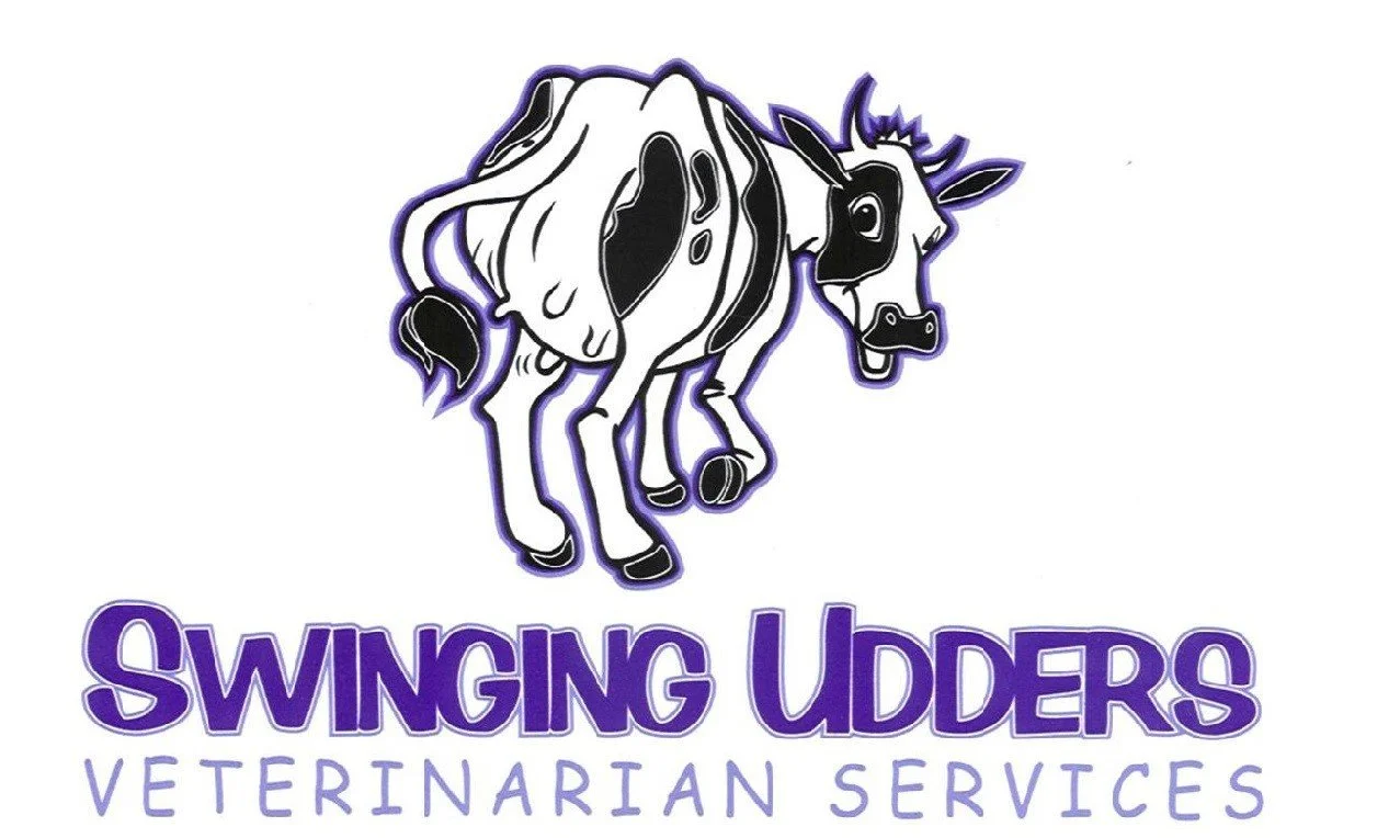 Swinging  Udder Veterinary Services