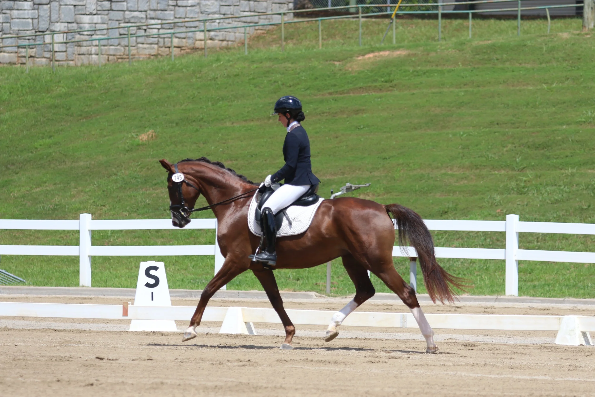 A female equestrian dressed in formal riding attire, including a dark riding jacket, white breeches, riding boots, and a helmet, riding a brown horse with a white marking on its face during a dressage event on a sandy arena with a white fence and gre
