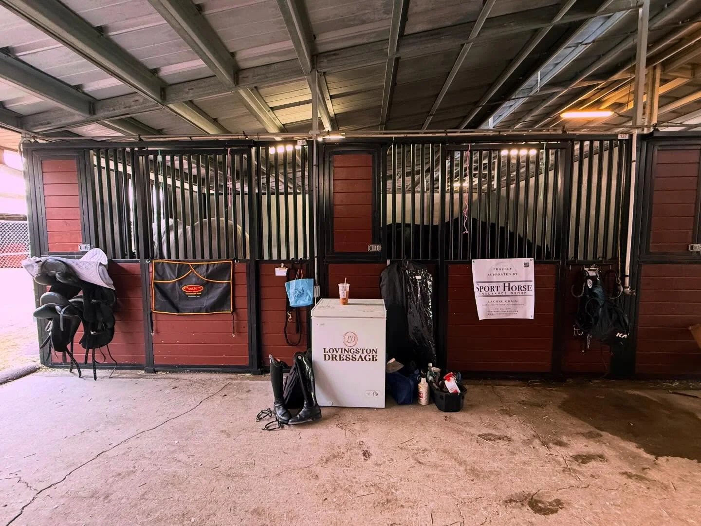 Excited for a wonderful week 8 at Global Dressage with the best girls! Starting off the weekend strong with a 70.1% and a win for Franziska HVH in 2-3! She continues on in the 6 year olds and the wonderful Eponine starts the Prix St Georg shortly, wi