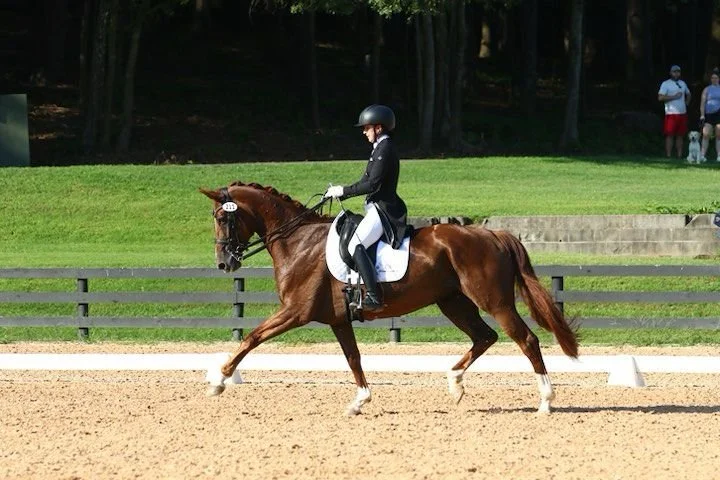 A person riding a chestnut horse in an outdoor riding arena with a grass field and trees in the background.