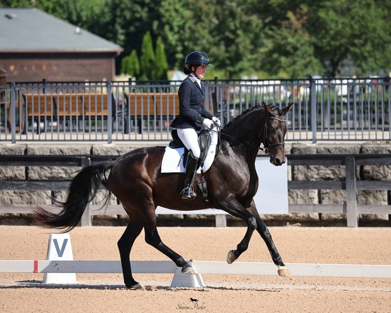 A woman dressed in equestrian attire riding a dark brown horse on a sandy arena, with a fence, benches, trees, and cars in the background.