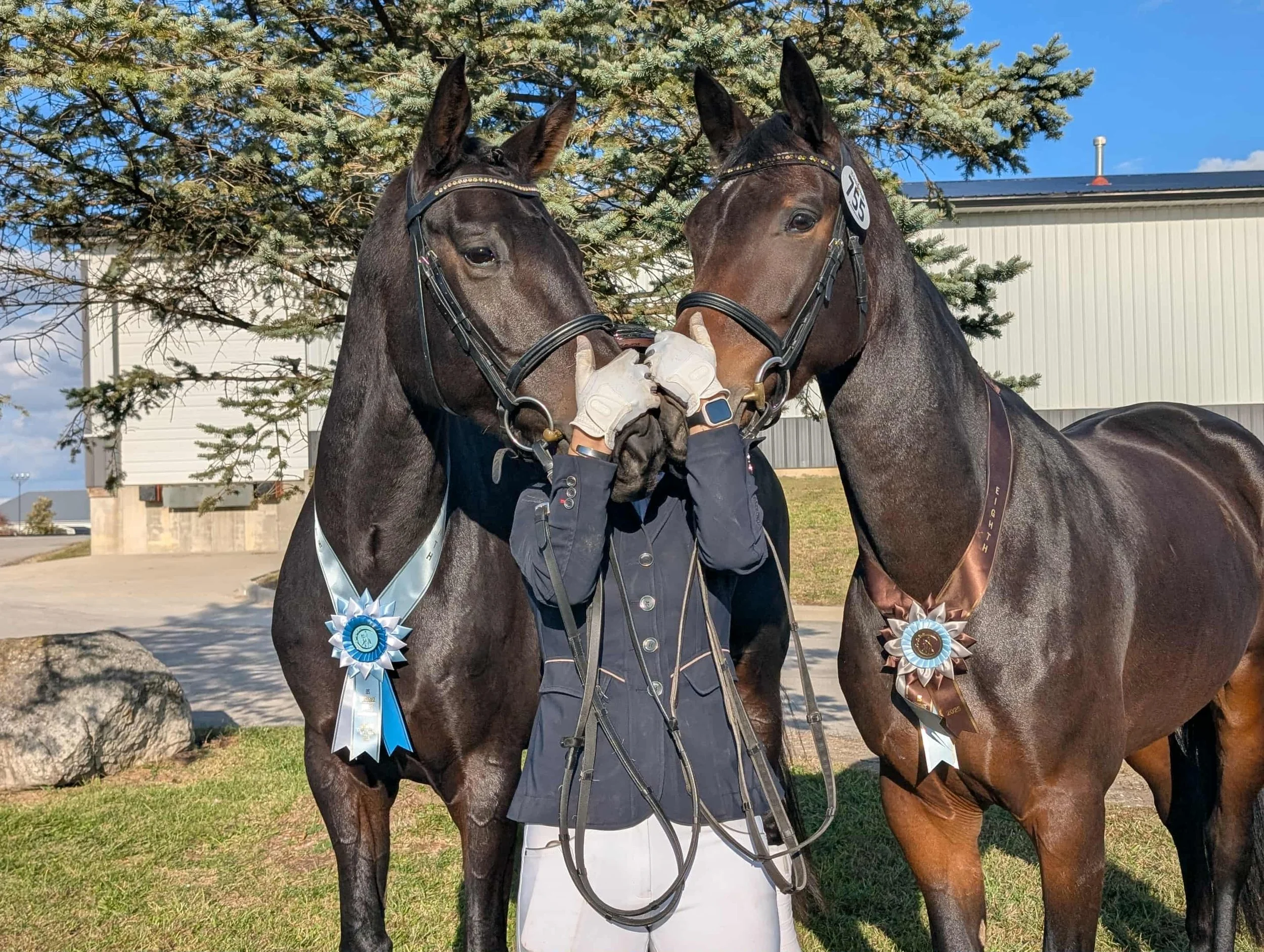 Two racehorses with medals around their necks and a person in racing attire holding their reins, outdoors on a sunny day with trees and a building in the background.