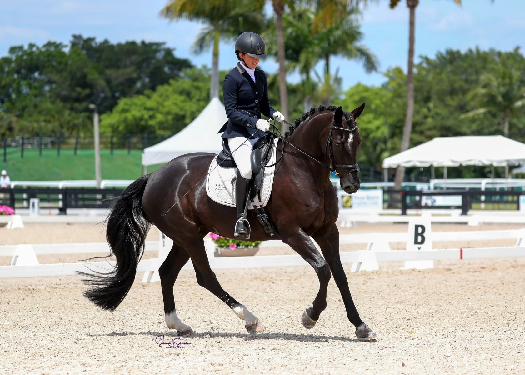 A woman riding a dark brown horse during a dressage competition in an outdoor arena with white fencing, tents, and palm trees in the background on a sunny day.