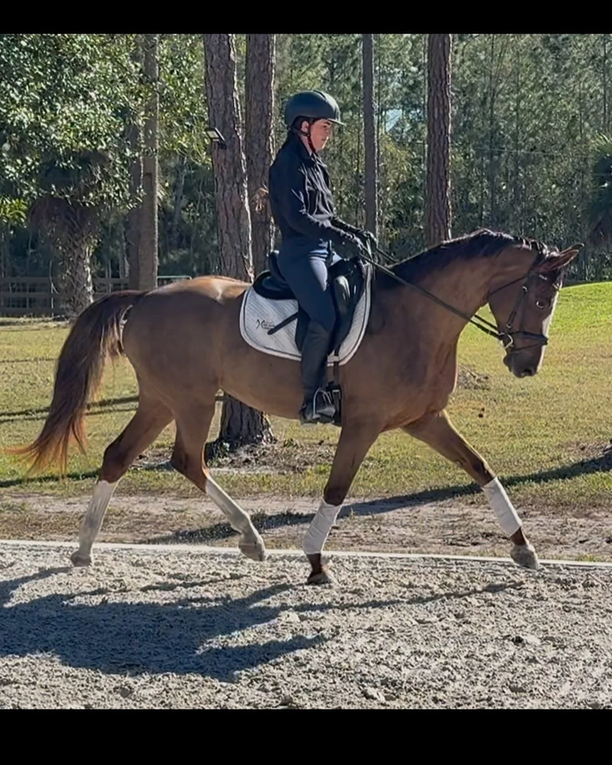 Person wearing a black helmet and riding attire riding a tan horse on a sandy outdoor track with trees in the background.