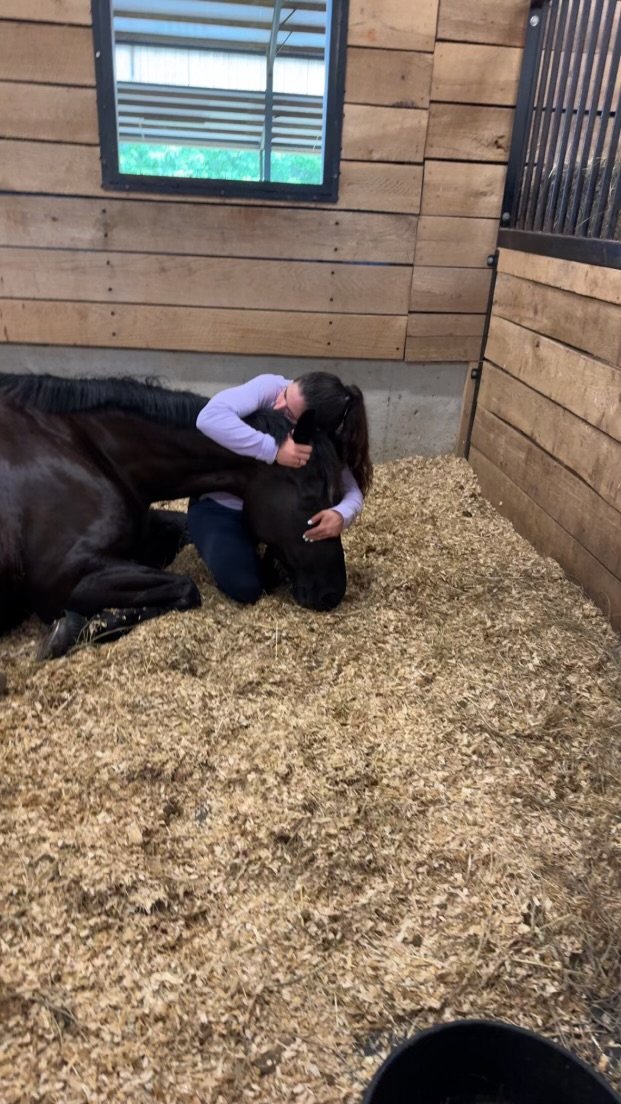 A young girl hugging and comforting a black foal inside a wooden barn with wood-paneled walls and a window.