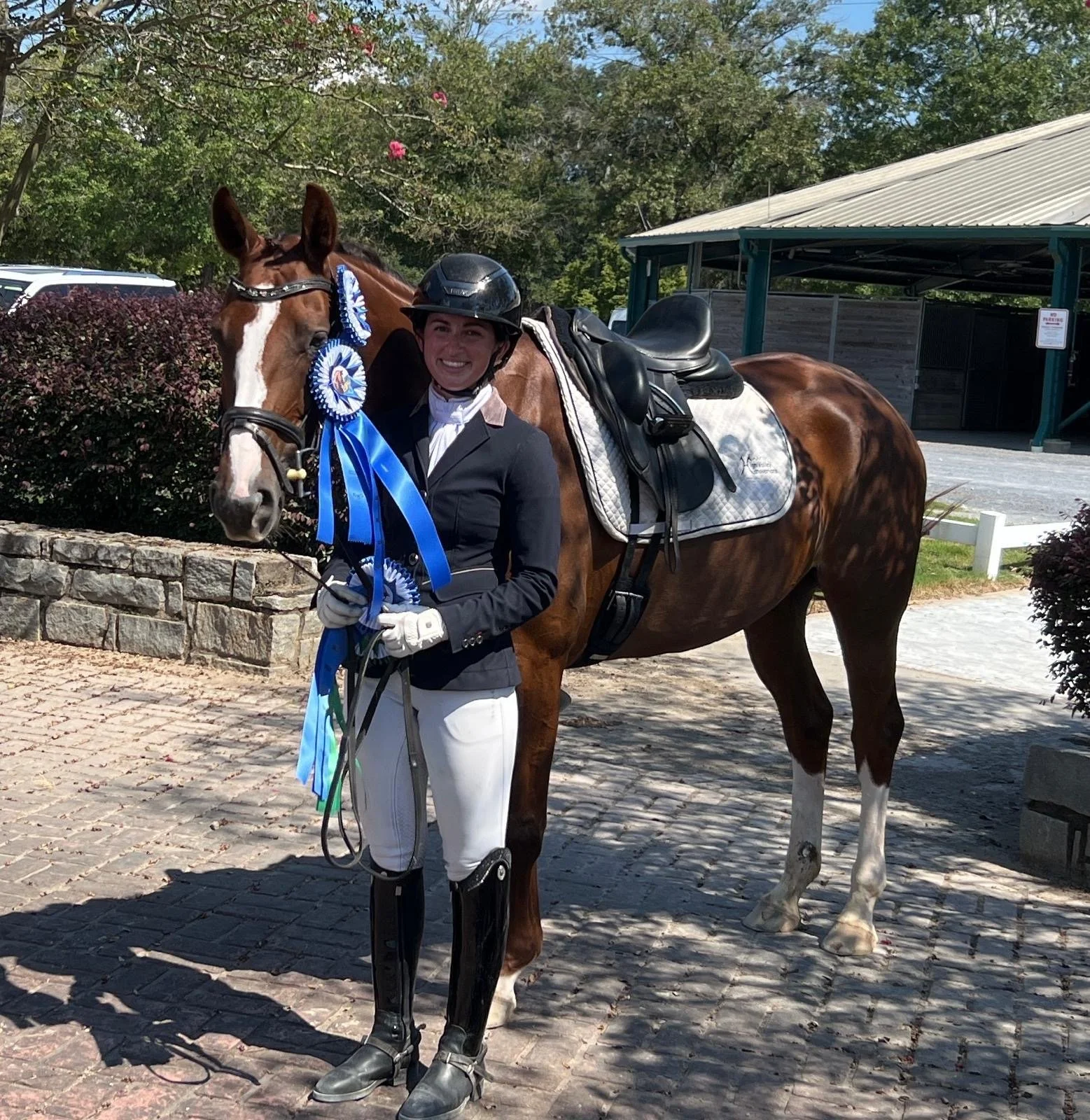 A woman in equestrian attire standing next to a brown horse decorated with blue ribbons, outdoors on a sunny day.