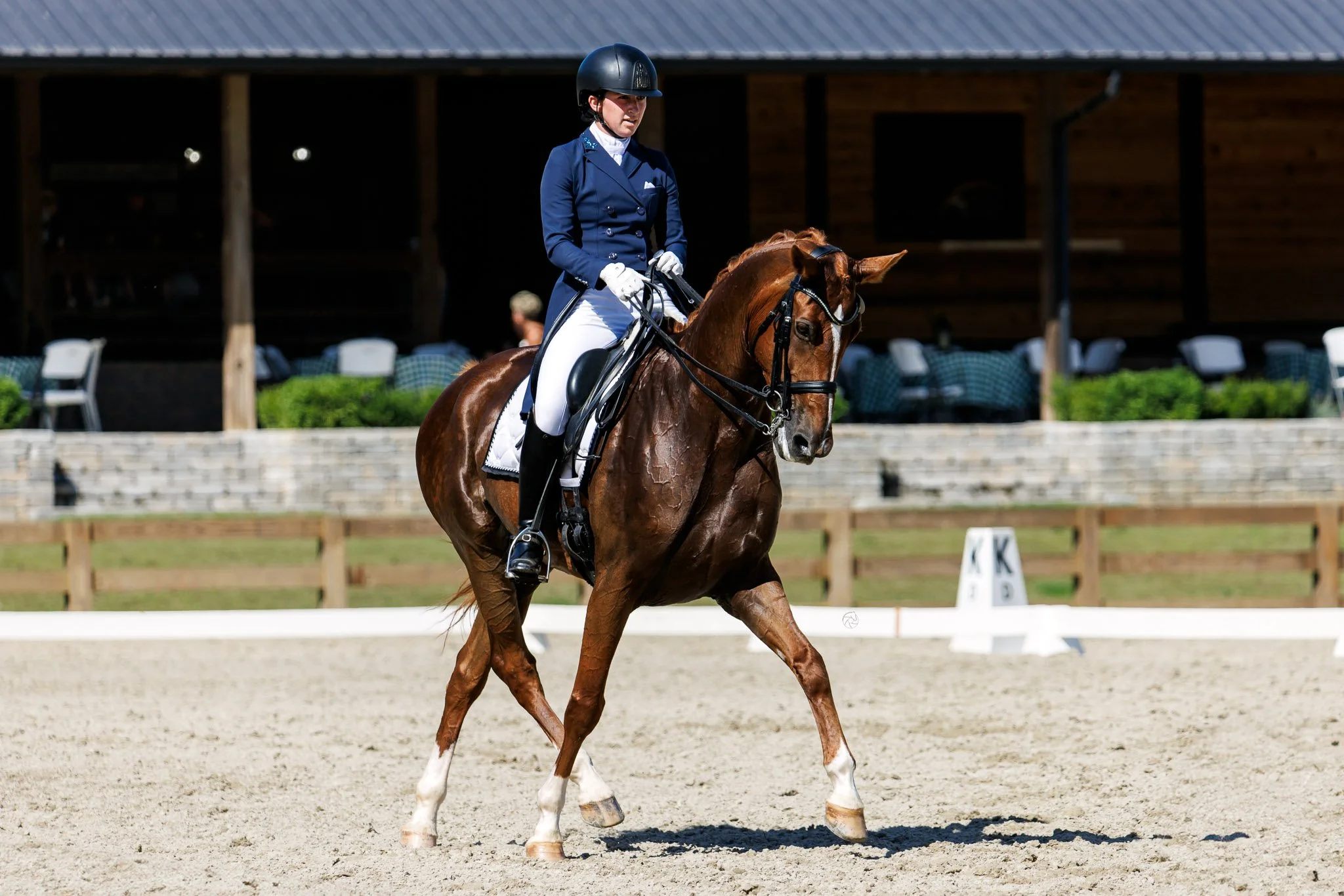 Equestrian rider in formal riding attire on a brown horse during a dressage competition.