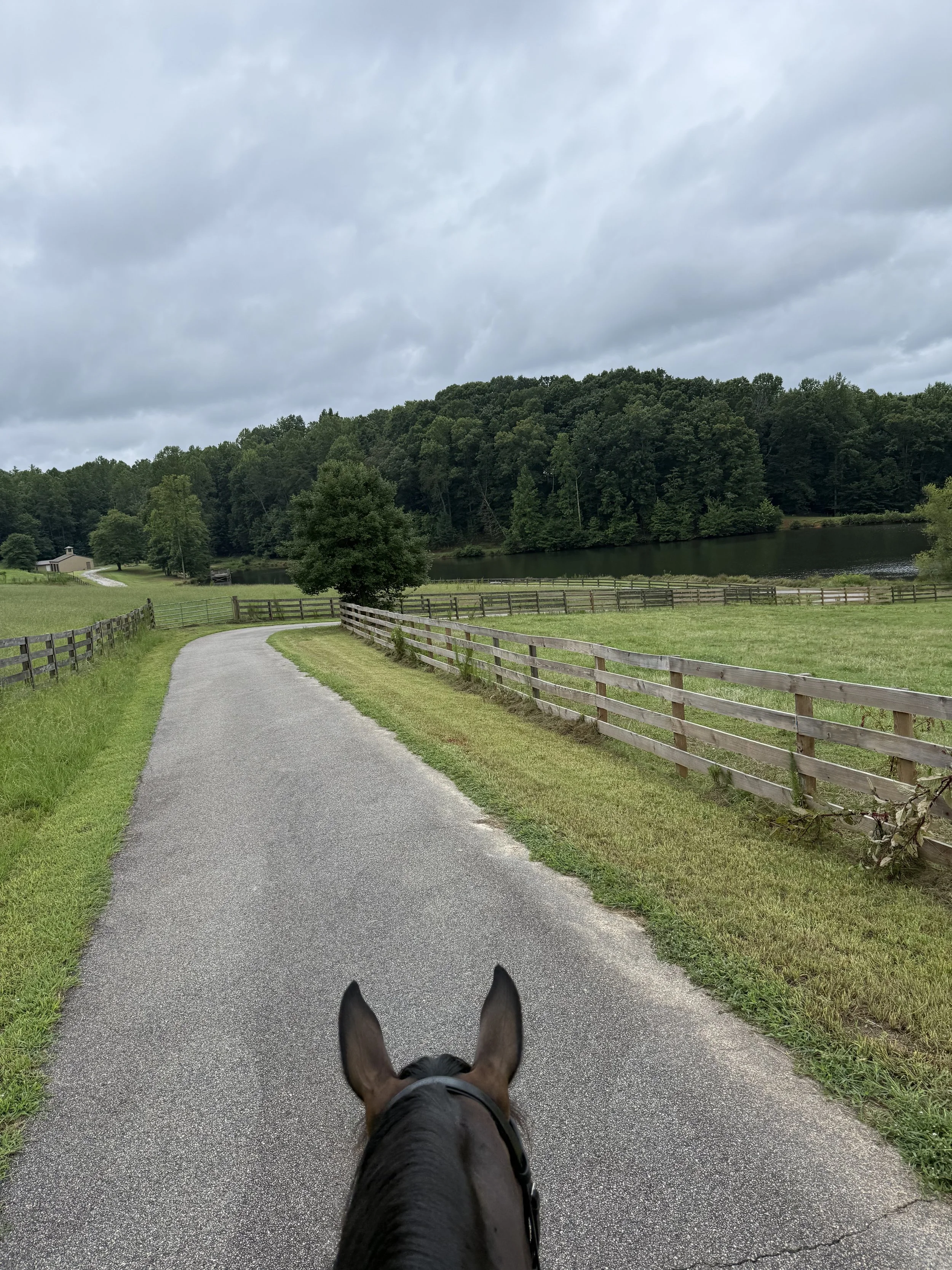 View from horseback riding on a paved country road with wooden fences, green fields, and a lake surrounded by trees under a cloudy sky.
