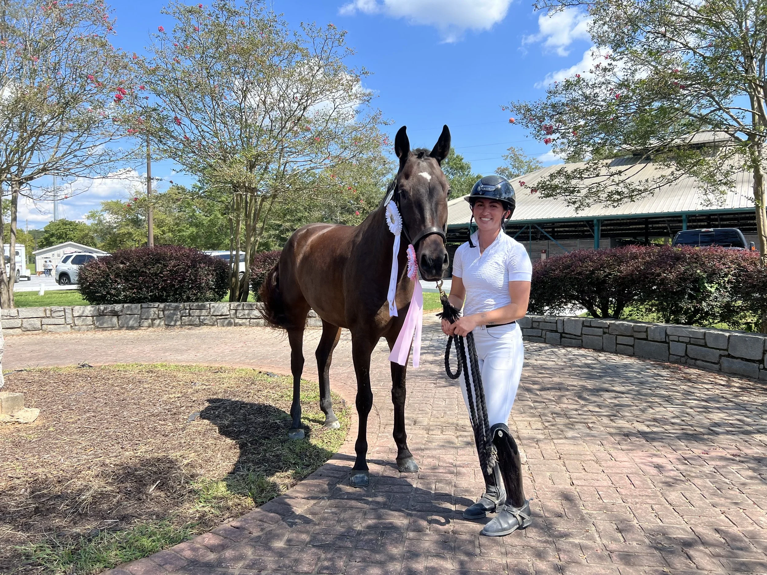 A woman in riding attire and helmet standing next to a dark brown horse with a pink and white ribbon on its bridle, outdoors on a sunny day with trees, shrubbery, and a stone wall in the background.