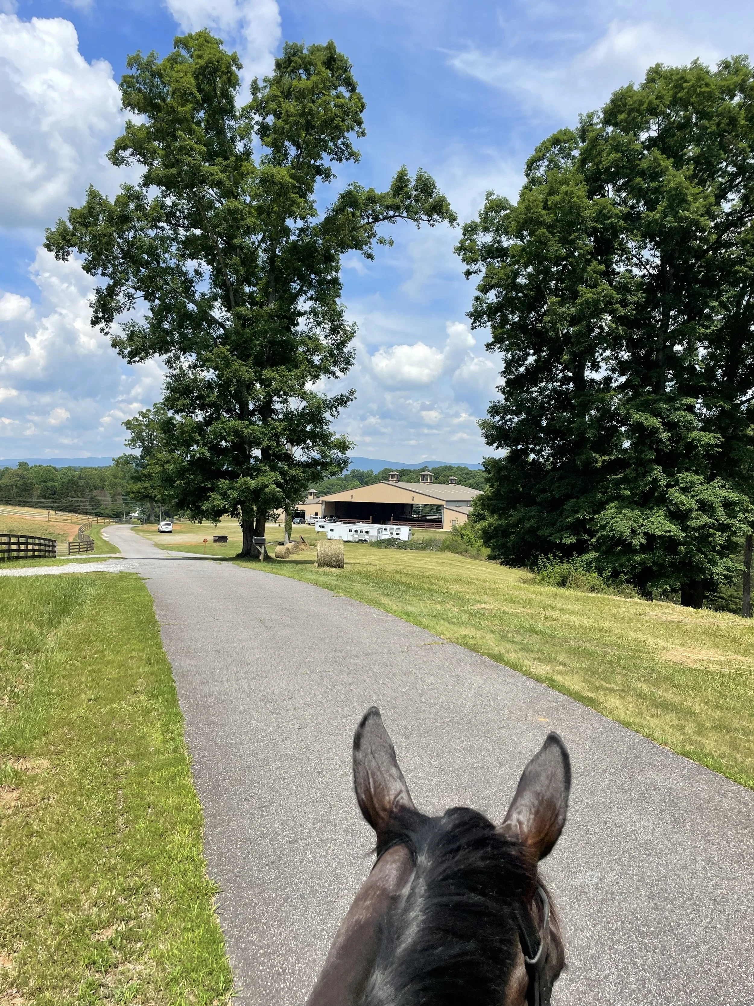 View from horseback riding along a paved country road with green grass, trees, and a barn in the background under a partly cloudy sky.