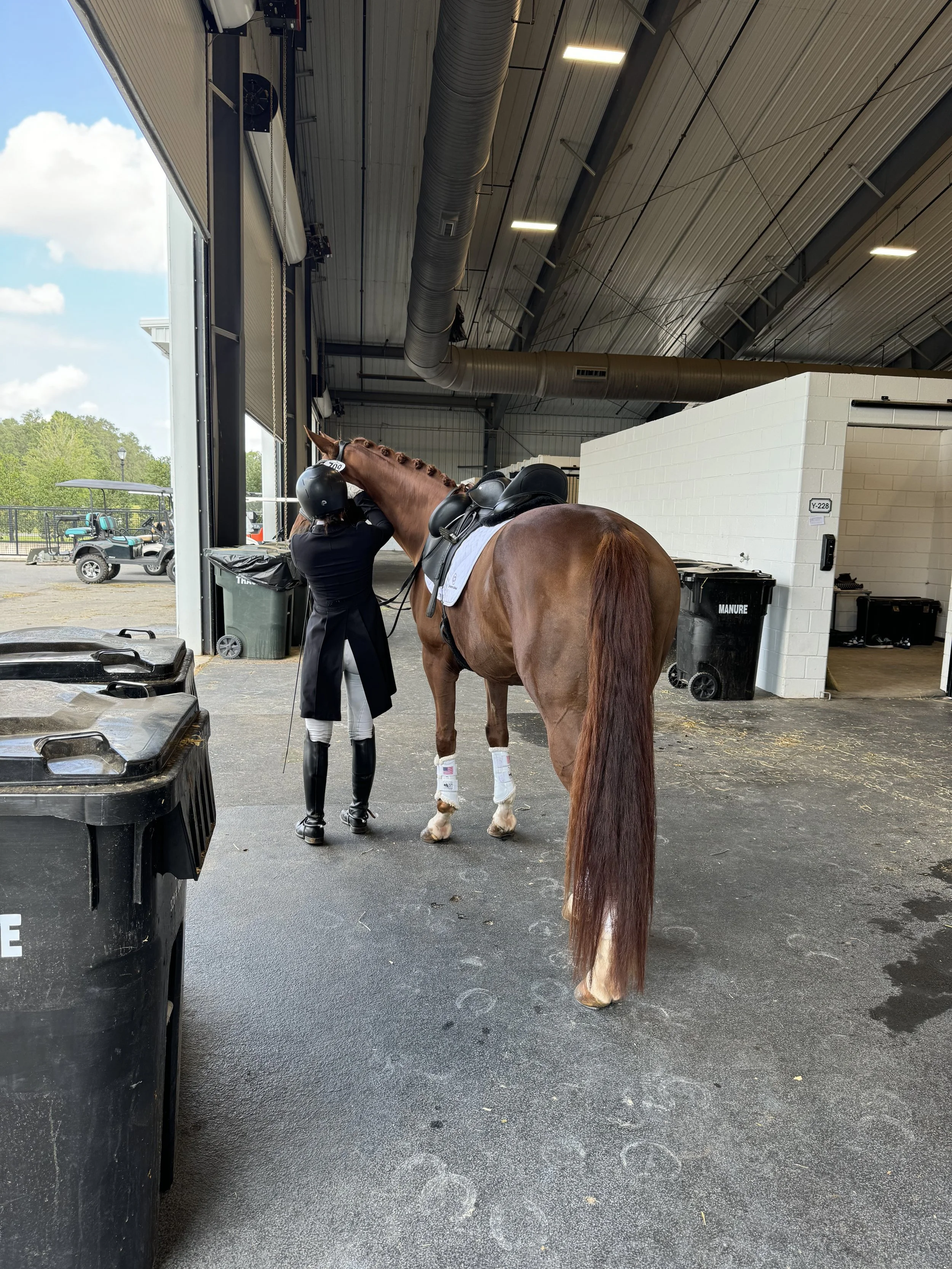 A person in equestrian attire helping a riding horse inside a stable or training area, with some trash bins and open doors to an outdoor paddock visible.