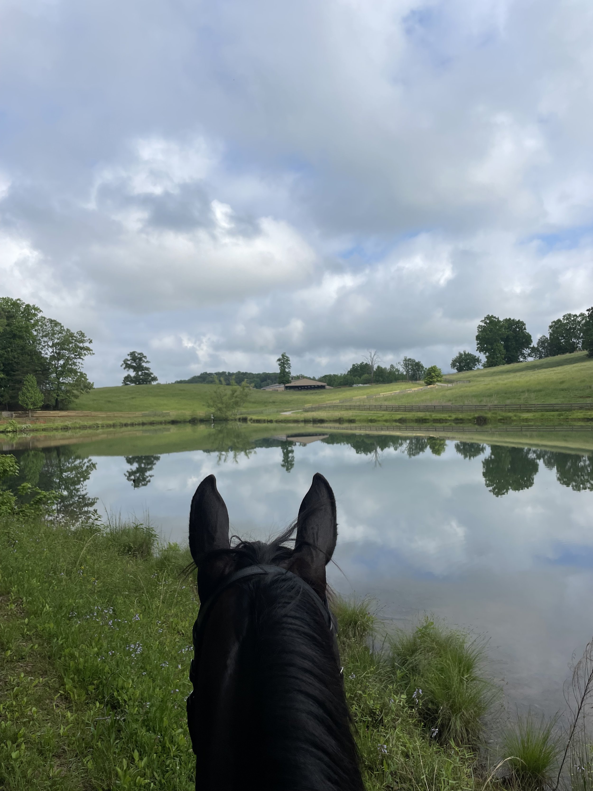 View from a rider on a black horse looking at a calm pond with green grass and rolling hills, trees, and a partly cloudy sky reflected in the water.