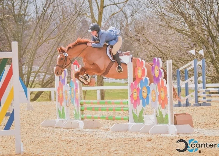 A person in riding gear guides a horse over a colorful flower-themed show jumping obstacle in an outdoor arena.