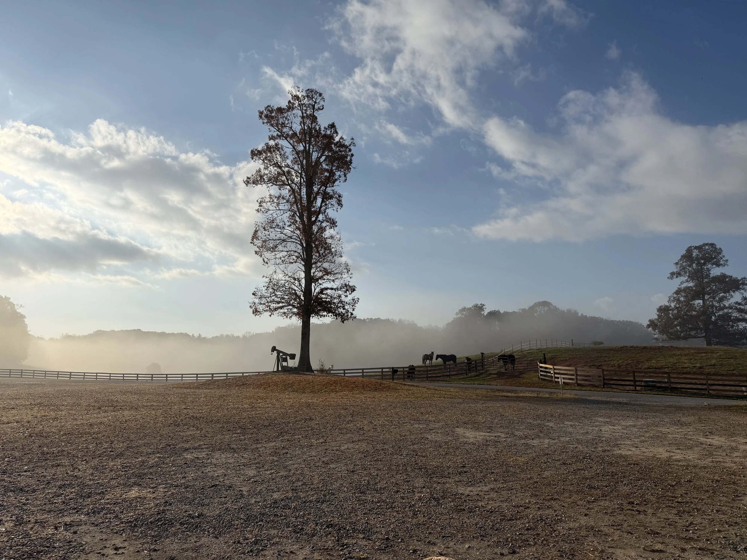 A rural landscape scene with a large tree and a fence, horses grazing in the background, and a gravel area in the foreground under a partly cloudy sky.