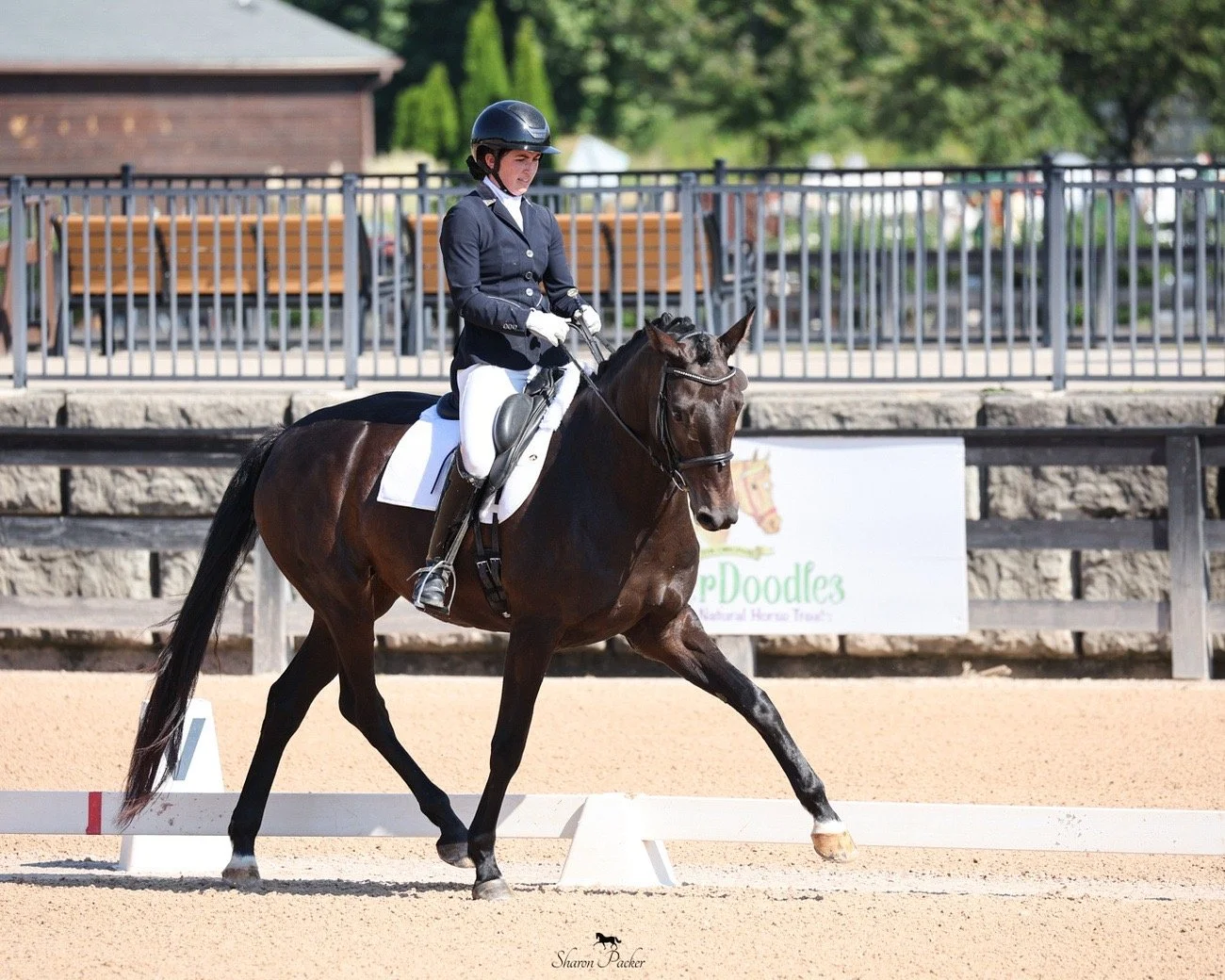 A female equestrian riding a dark brown horse in a dressage competition on a sandy arena with a fence and benches in the background.