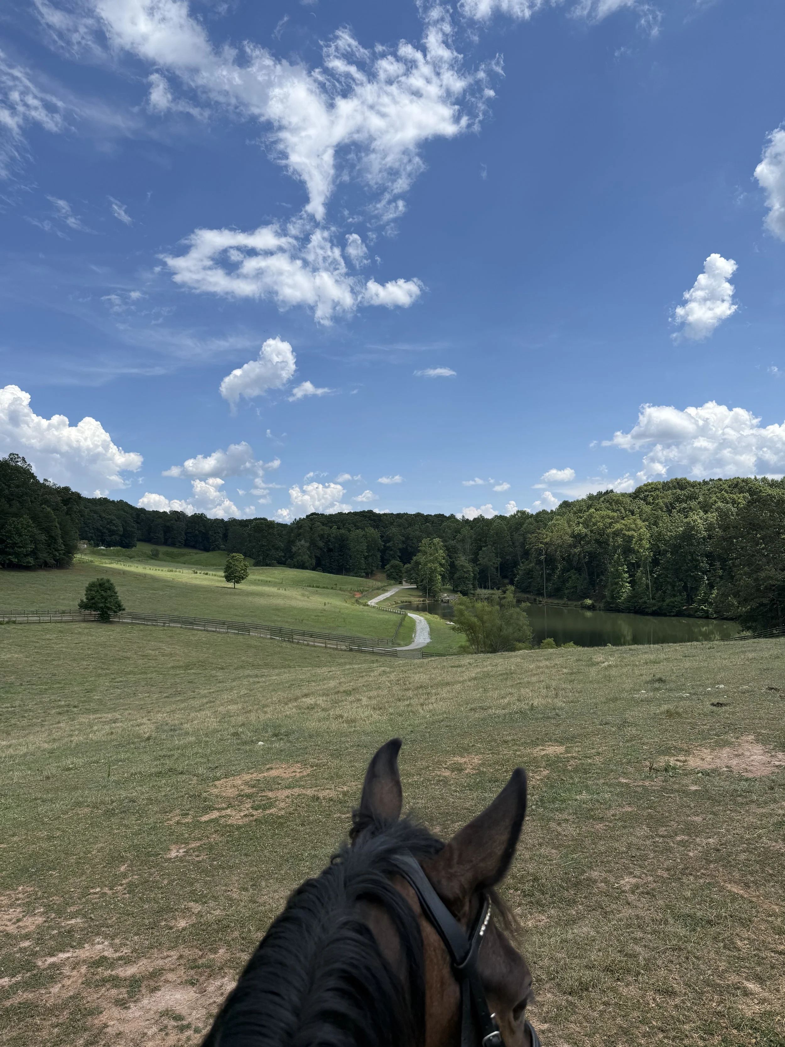 View from a horseback rider's perspective showing a horse's head and ears, with a scenic landscape of rolling green grass, trees, a winding path, a lake, and a partly cloudy blue sky.