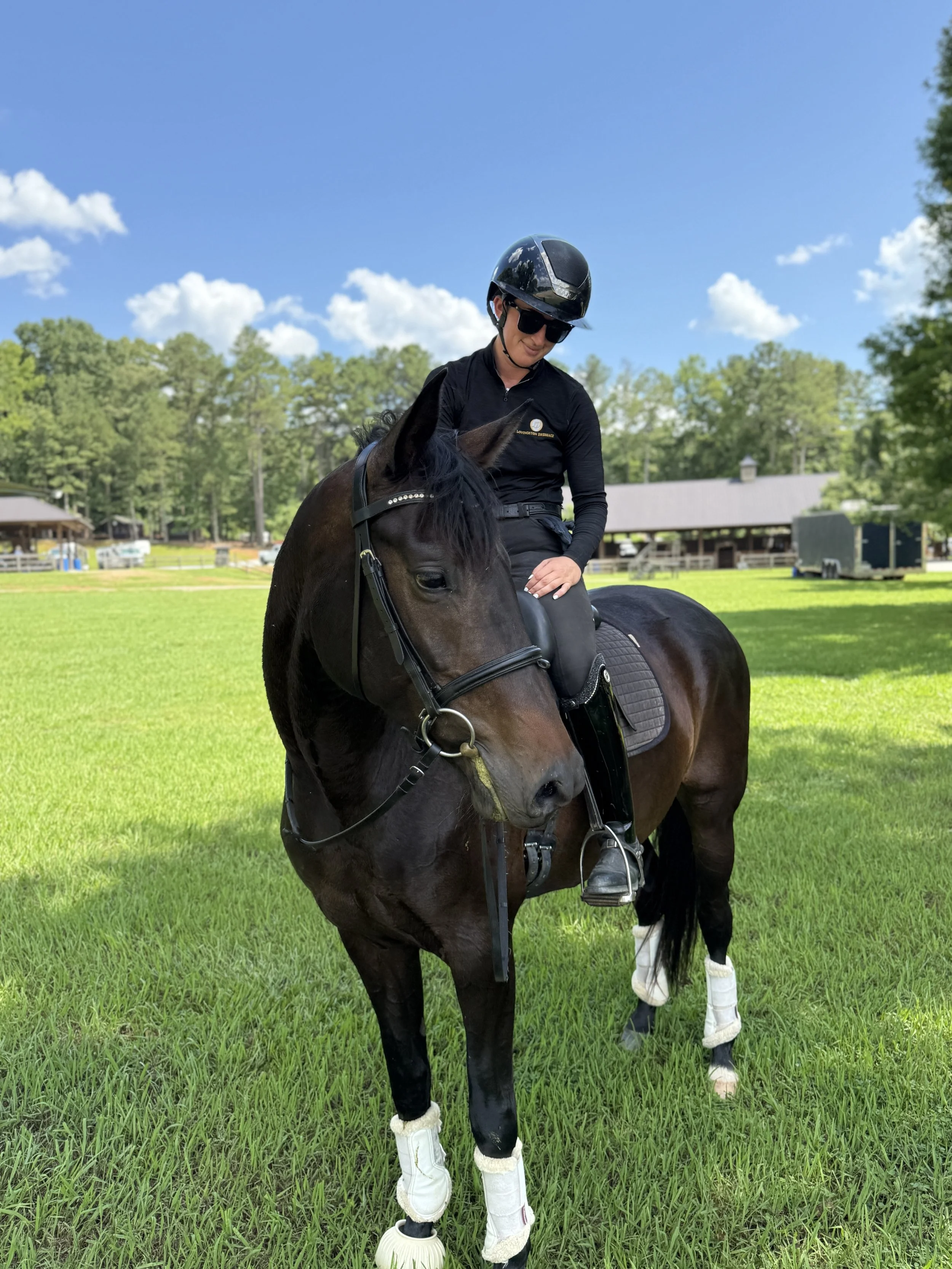 A woman in riding gear sitting on a black horse with white markings on its legs, outdoors on a sunny day with green grass and trees in the background.