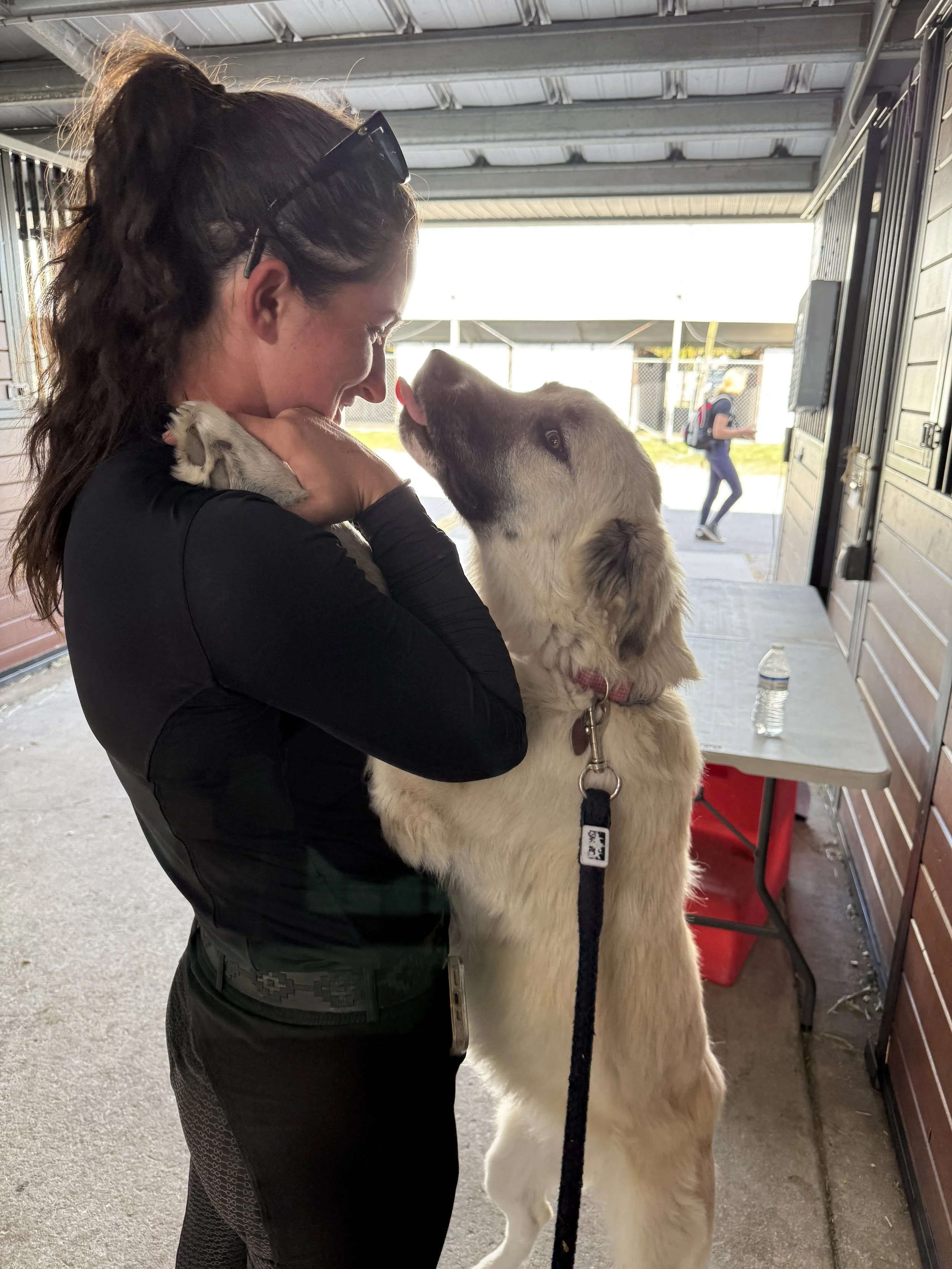 A woman and a large, fluffy dog sharing a moment of affection inside a covered outdoor area, with the woman holding the dog close and the dog licking her face.