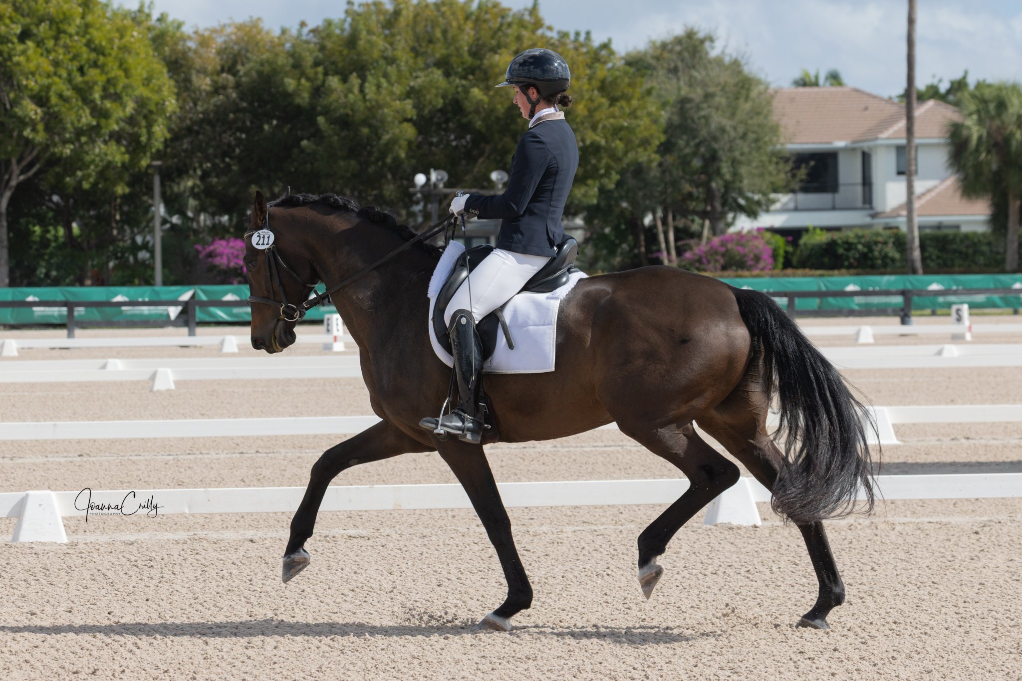 A rider dressed in formal equestrian attire riding a dark bay horse in a dressage arena surrounded by trees and buildings.