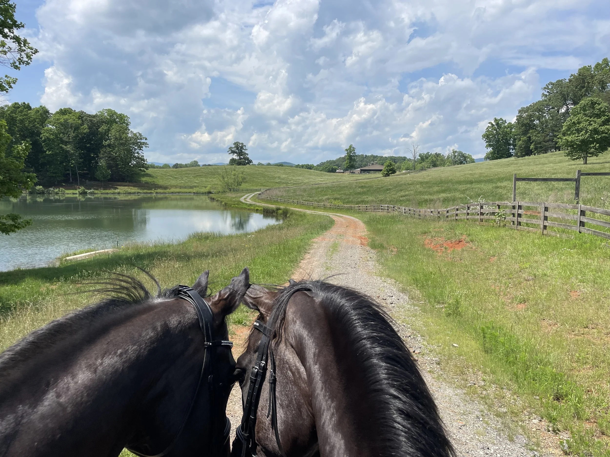 Two horses with dark coats are facing away, standing on a dirt and grass trail by a pond in a rural landscape, with green fields, trees, and a partly cloudy sky in the background.