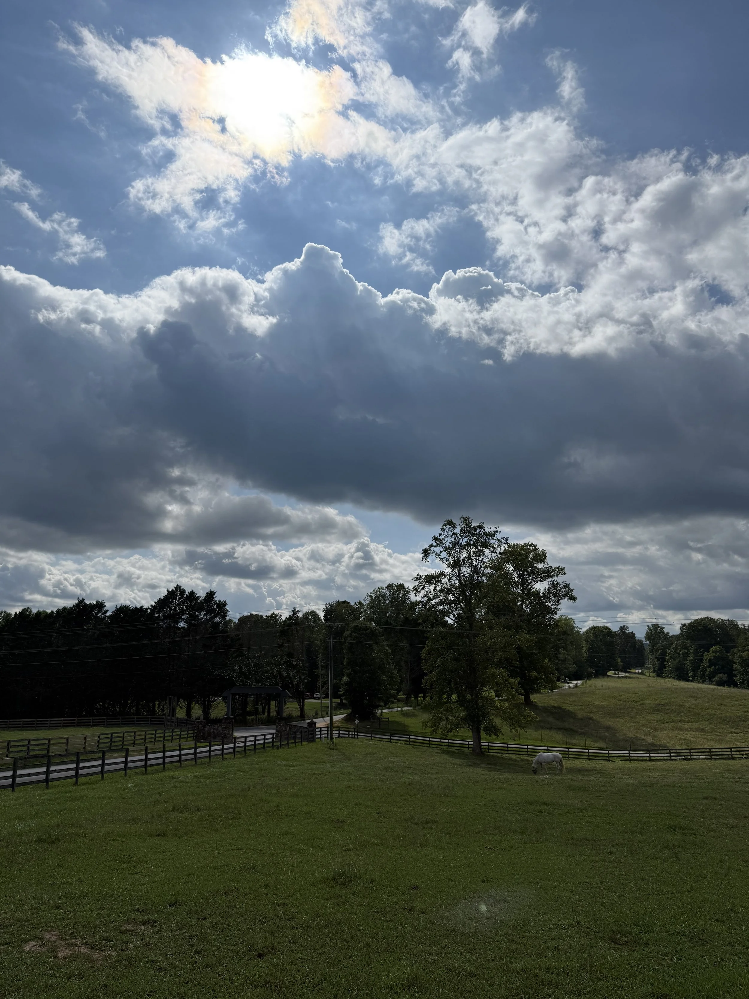 A rural landscape featuring a grassy field with a white horse, a wooden fence, trees, and a cloudy sky with the sun partially obscured.