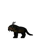 ezgif.com-animated-gif-maker (5).gif