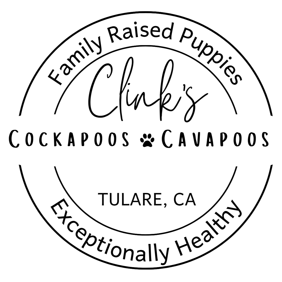 Clink's Cockapoos, Cavapoos, &amp; Cocker Spaniels