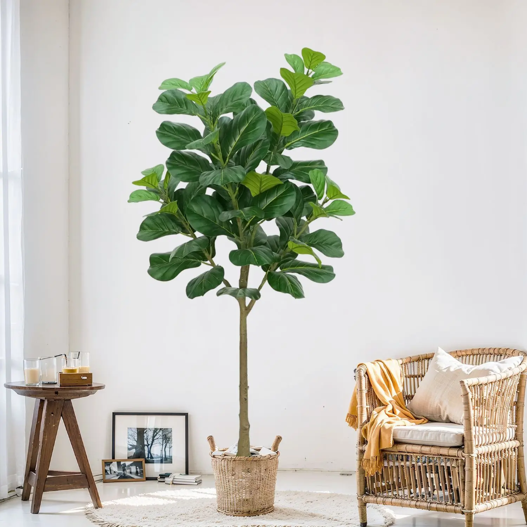 Artificial Fiddle Leaf Fig Tree – 180cm Premium Ficus Lyrata