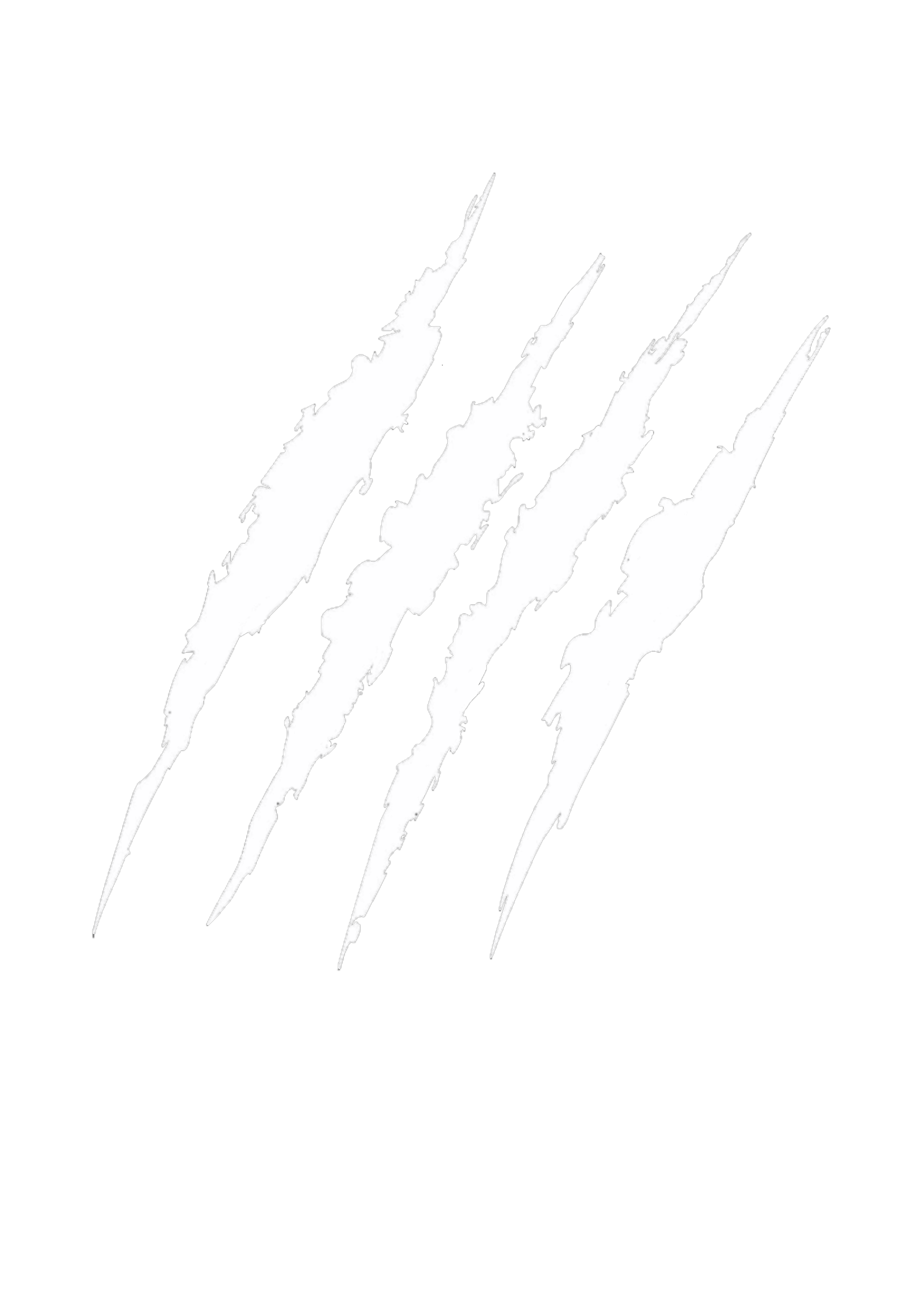 Black background with white claw marks reducing in size from left to right.