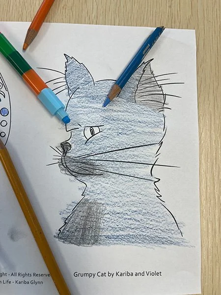 Grumpy-Cat-colored.jpg