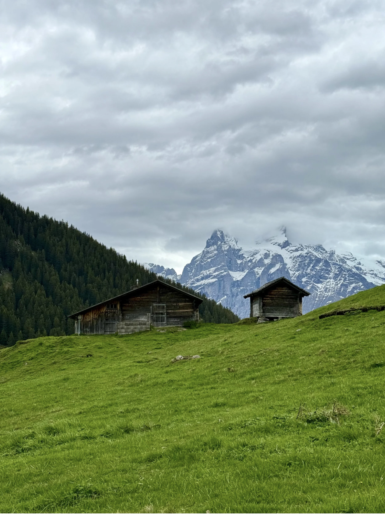 Captura de pantalla 2025-11-18 a la(s) 10.40.53.png