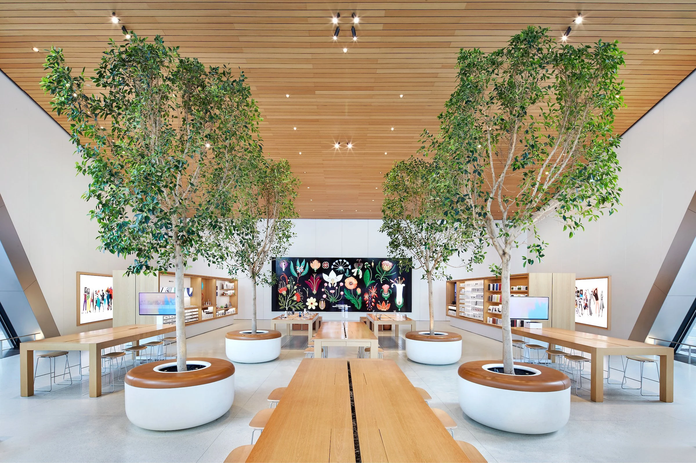 Apple Downtown Brooklyn Ft Greene 2.jpg