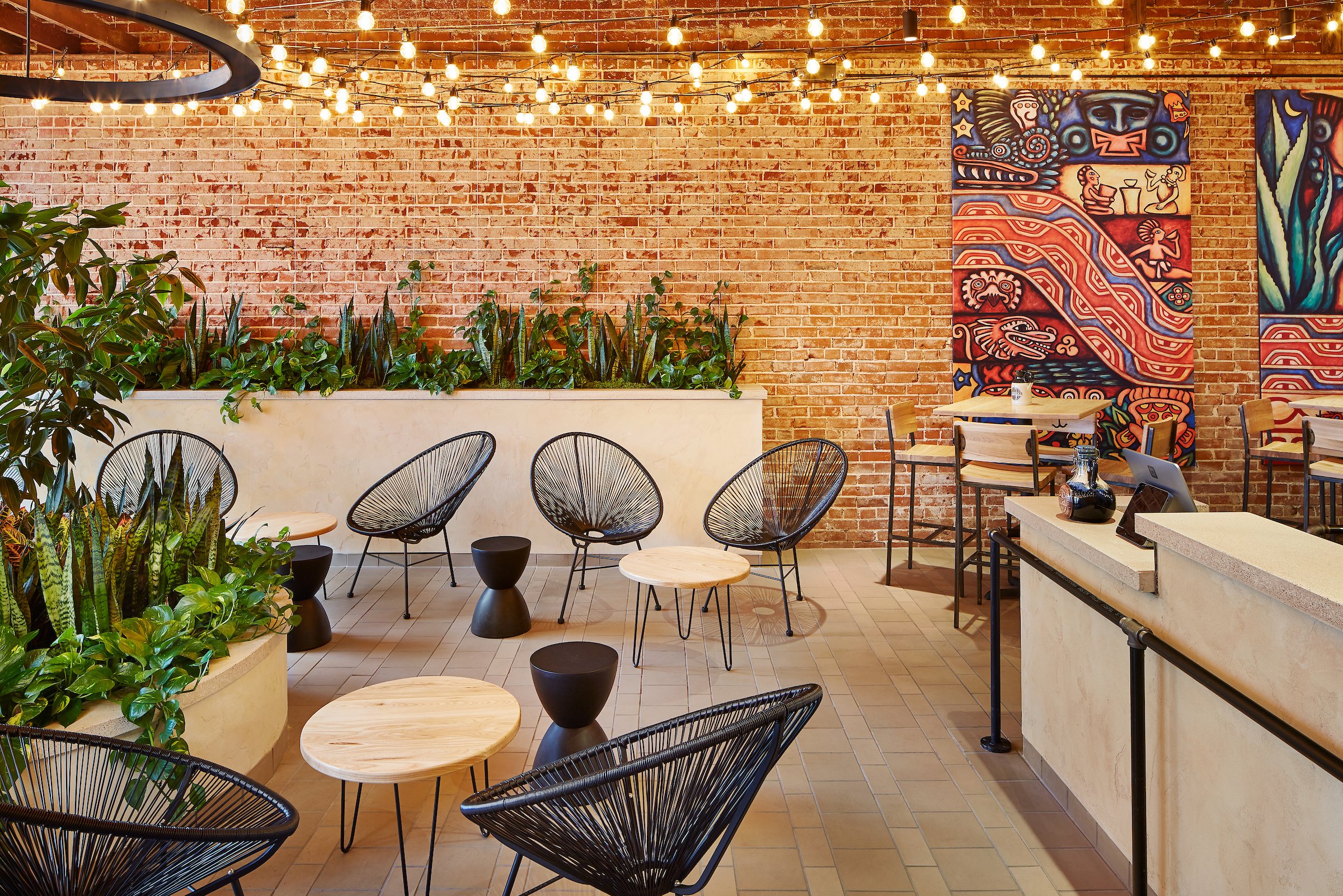 428 Dos Luces Muggenborg.jpg