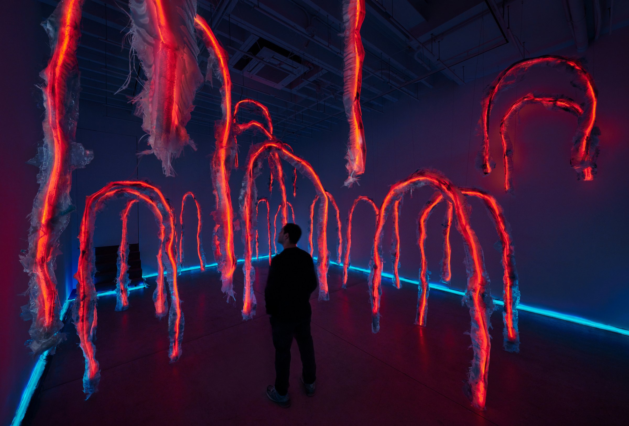 "Hyperstate" Installation at Magenta Plains