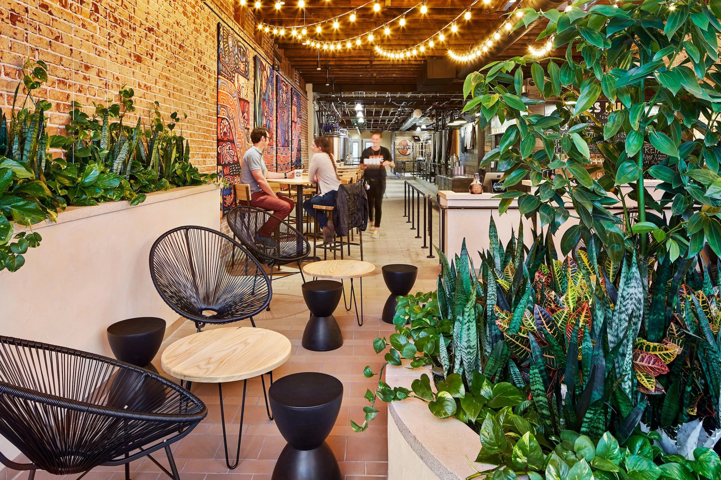 447 Dos Luces Muggenborg.jpg