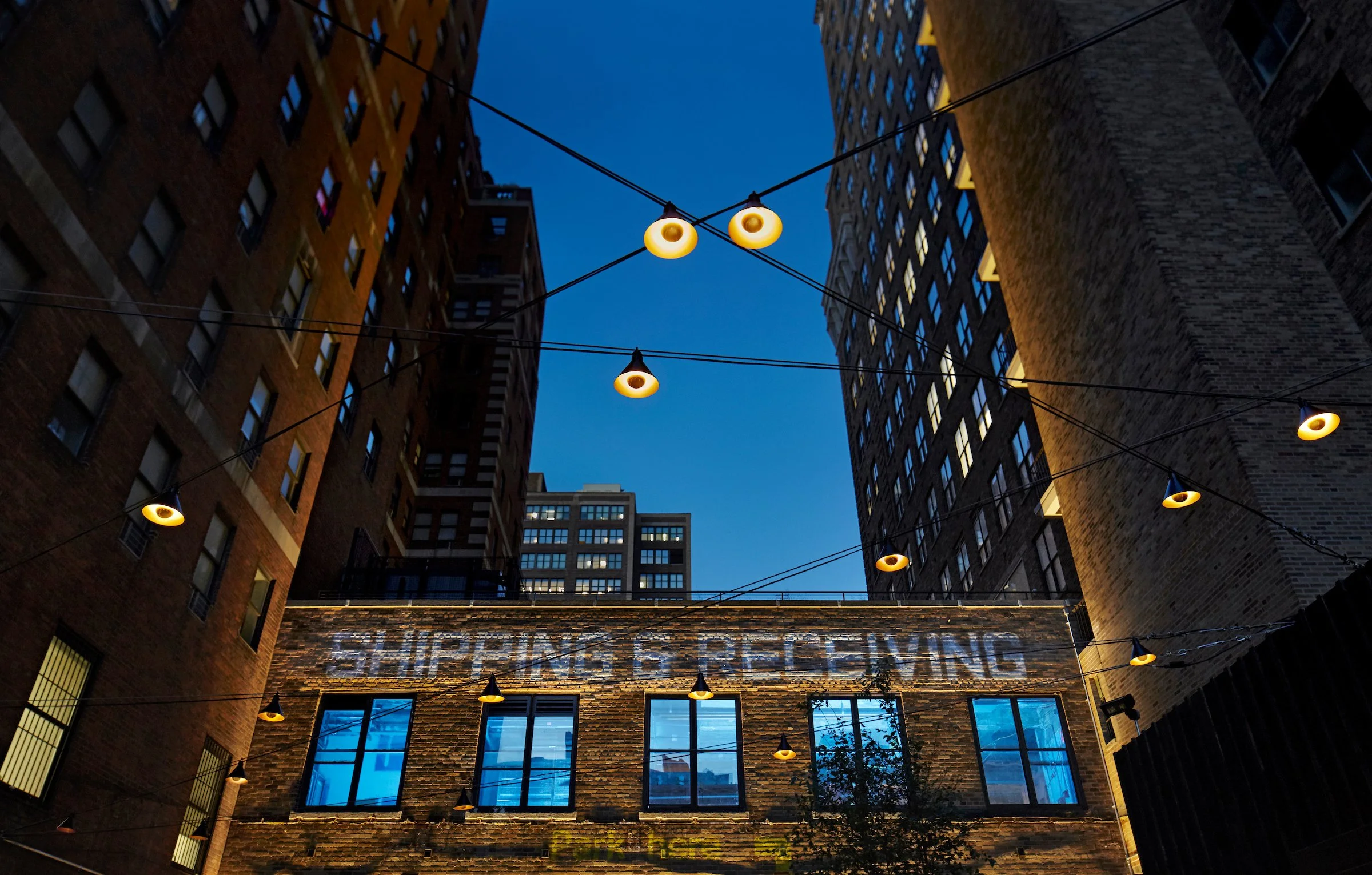 Dot Dash S&R Muggenborg 033.jpg