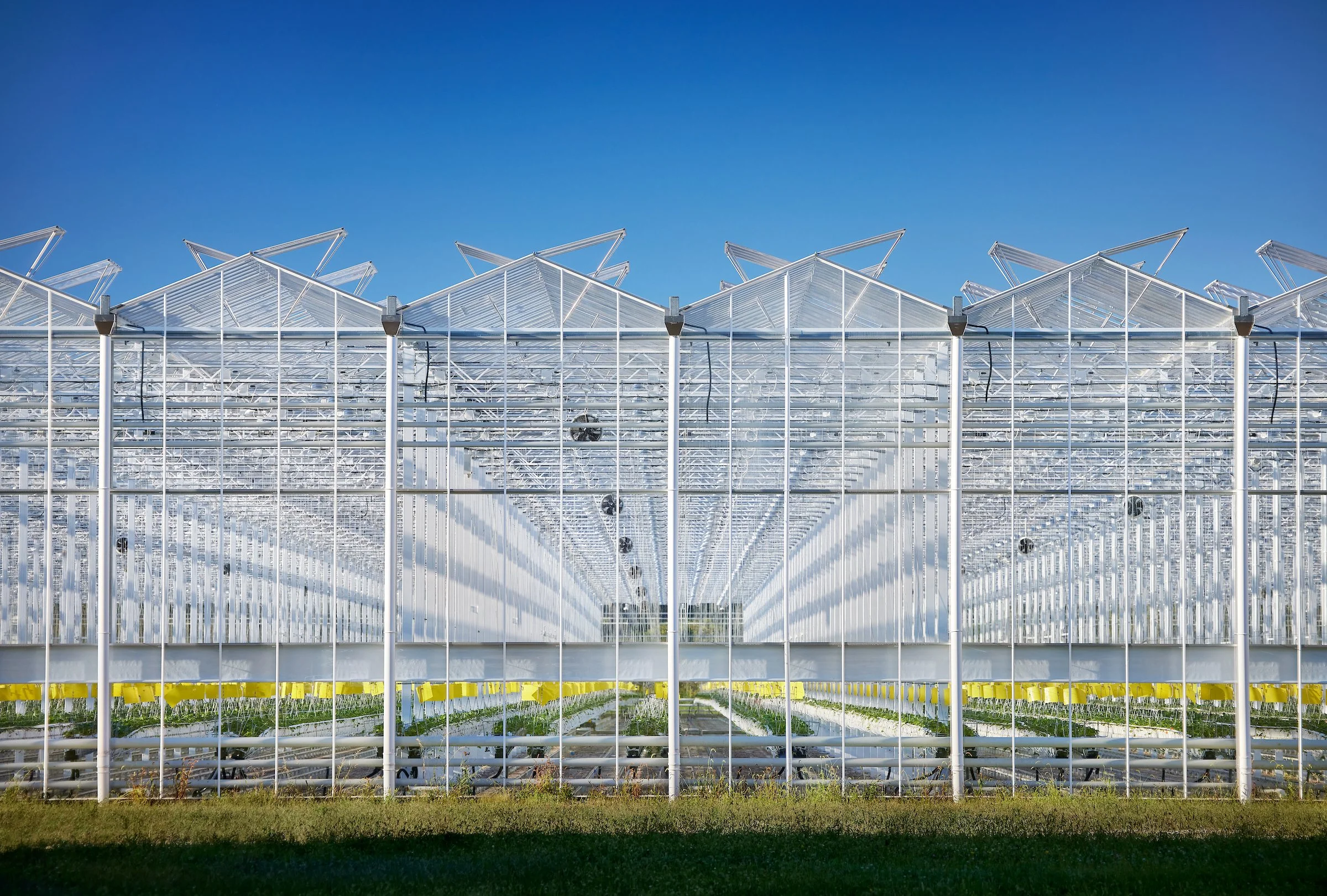 Sunset©Muggenborg_sunset grown 045.jpg