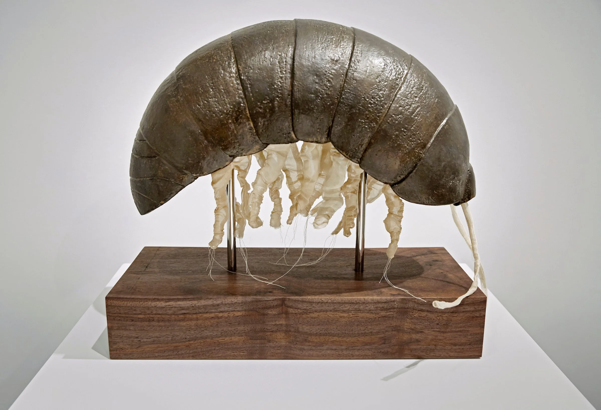 Portrait of the Artist as a Young Pill Bug by Malia Jensen