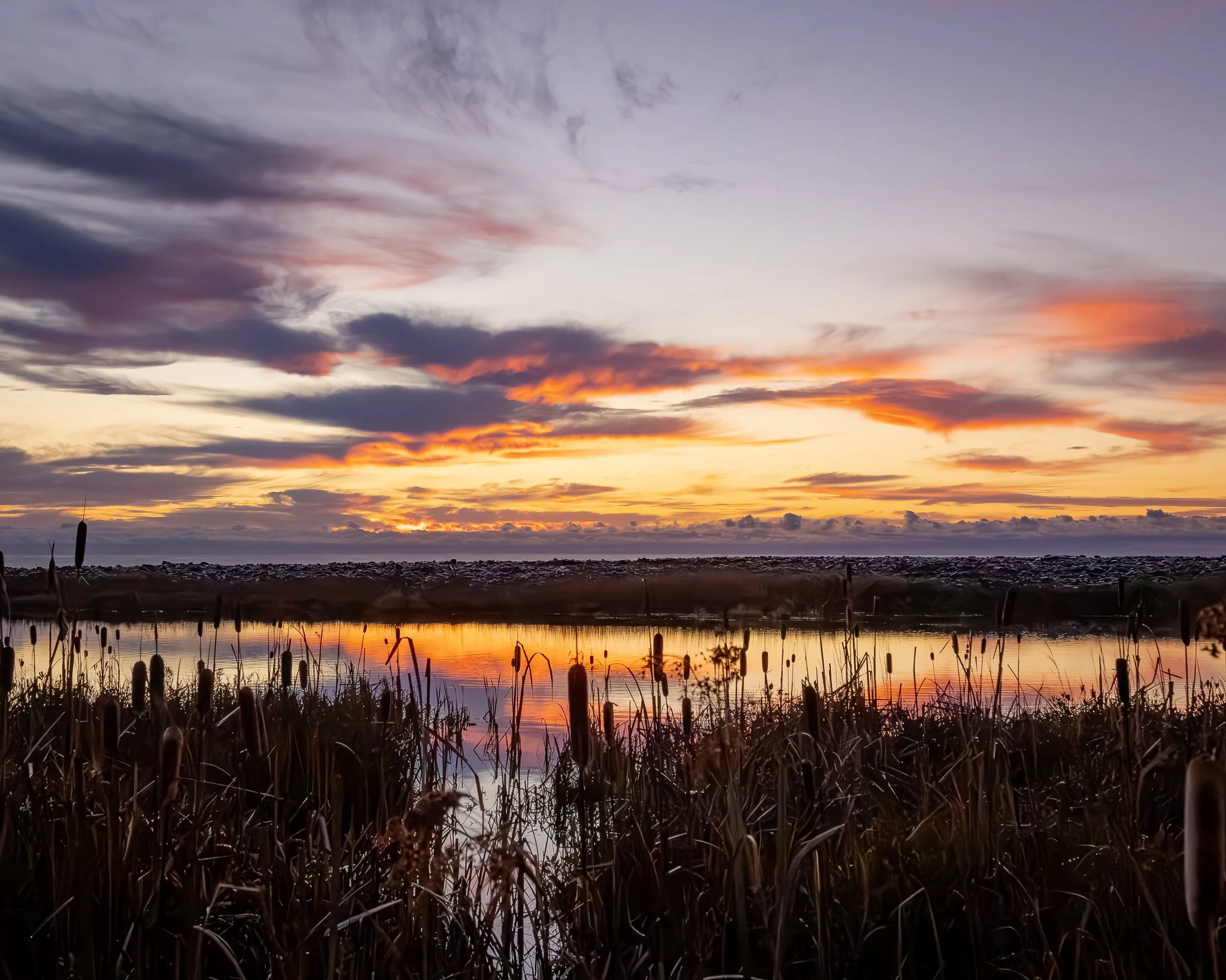 A sunset over a body of water with clouds in the sky and tall reeds in the foreground.